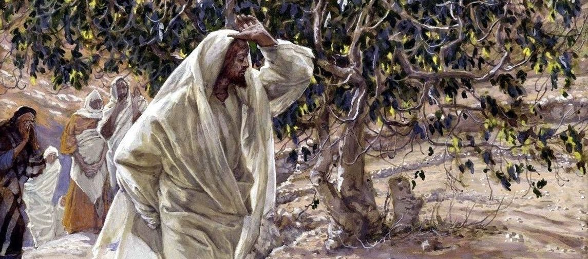 За что Иисус наказал дерево?